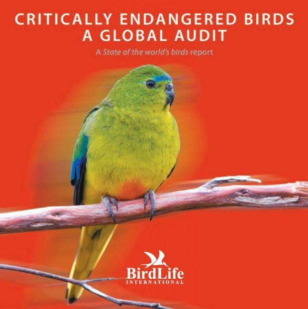 Critically Endangered Birds - A Global Audit