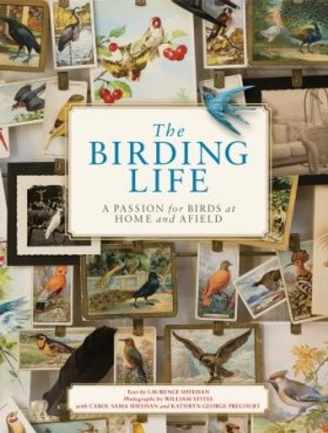 The Birding Life