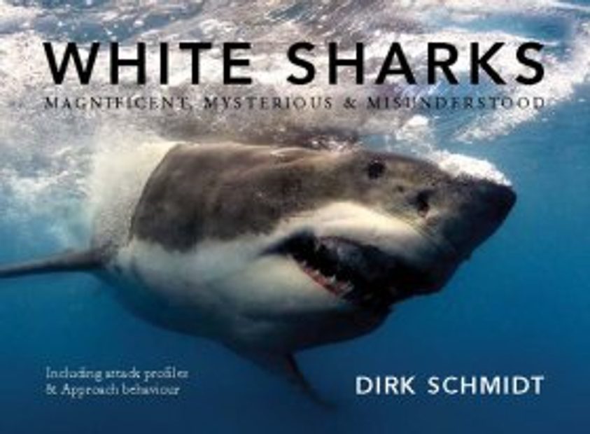 White Sharks