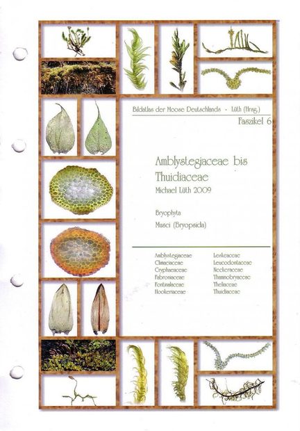 Bildatlas der Moose Deutschlands [Photographic Atlas of German Mosses], Fascicle 6