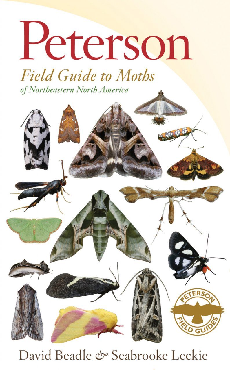 A field guide to the insects of America north of Mexico, The Peterson field guide series, 19 