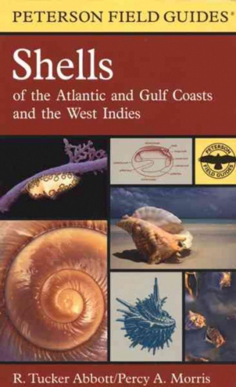 Peterson Field Guide to Shells of the Atlantic and Gulf Coasts and the
