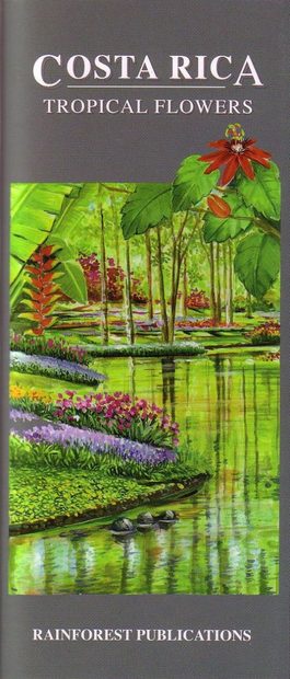 Costa Rica: Tropical Flowers [English / Spanish]
