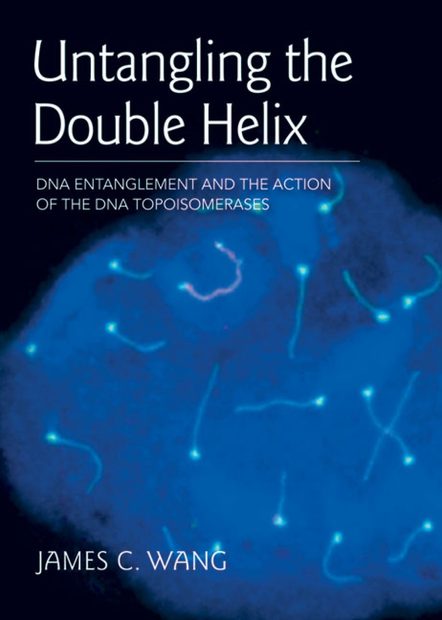 Untangling the Double Helix