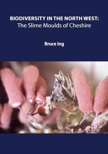 Biodiversity in the North West: The Slime Moulds of Cheshire