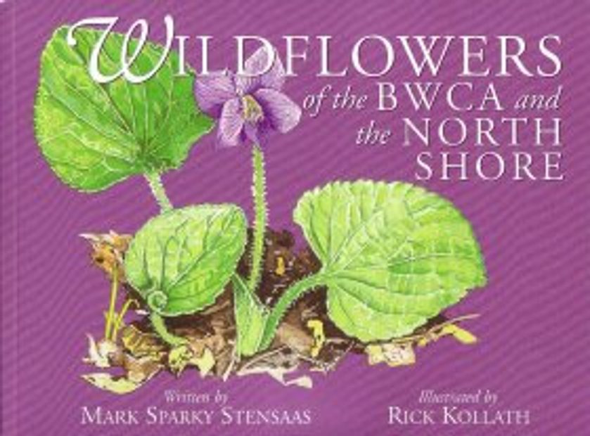 Wildflowers of the BWCA and the North Shore