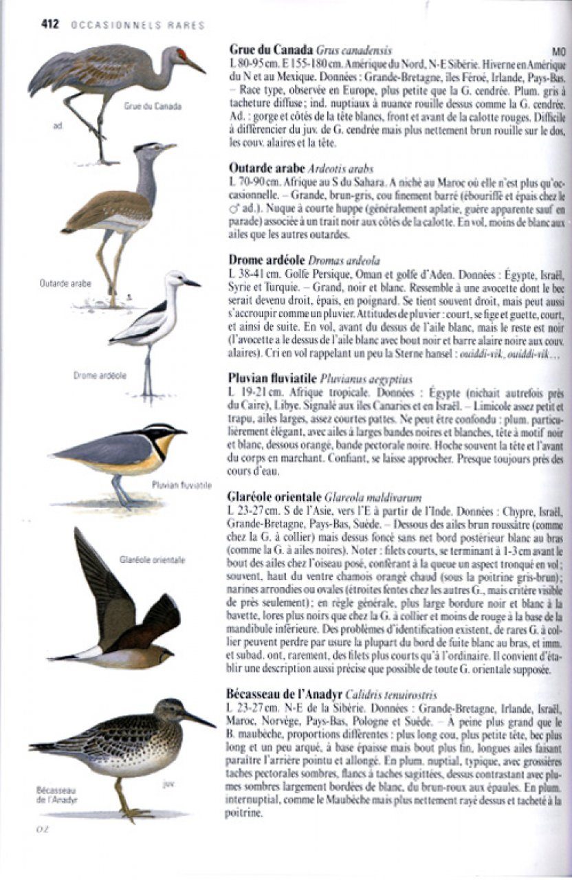 Le Guide Ornitho Nhbs Field Guides Natural History