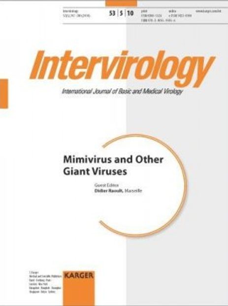 Mimivirus and Other Giant Viruses