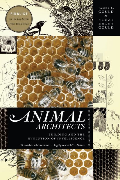 Animal Architects