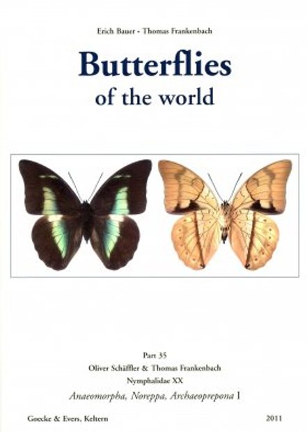 Butterflies of the World, Part 35: Nymphalidae XX: Anaeomorpha, Noreppa, Archaeoprepona I