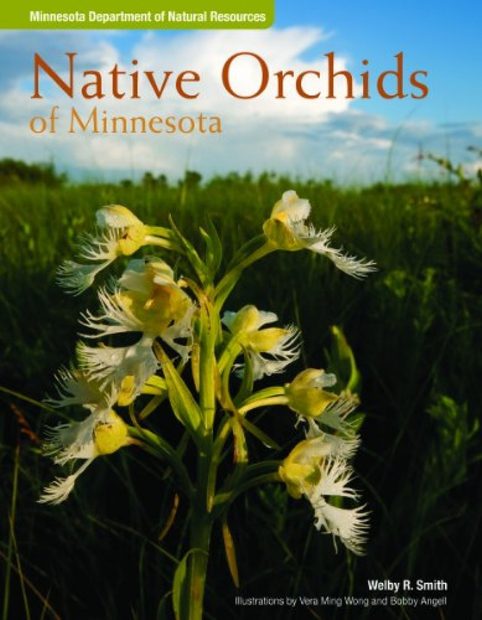 Native Orchids of Minnesota | NHBS Field Guides & Natural History