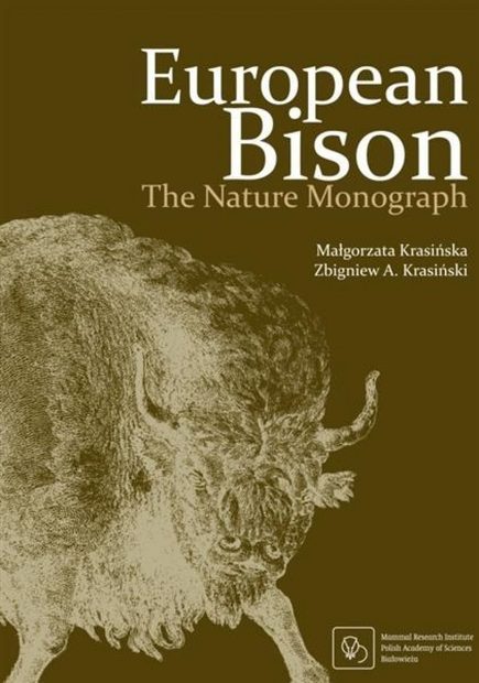 European Bison
