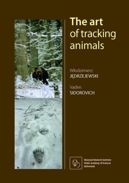 The Art of Tracking Animals