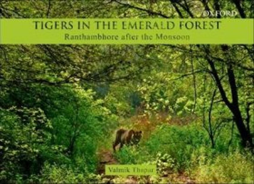Tigers in the Emerald Forest
