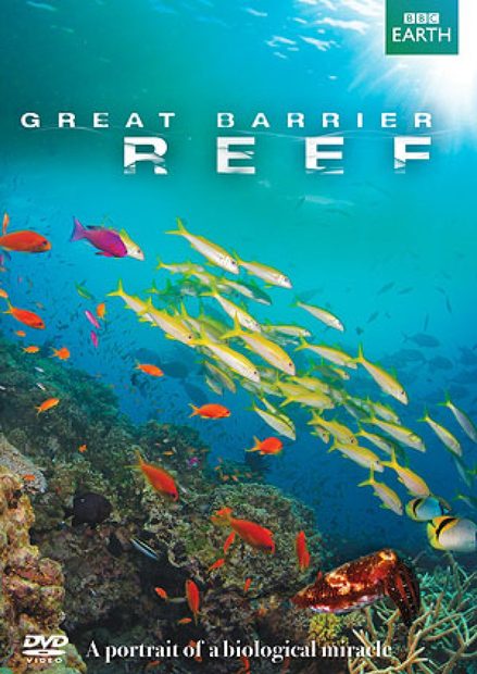 Great Barrier Reef (Region 2 & 4)