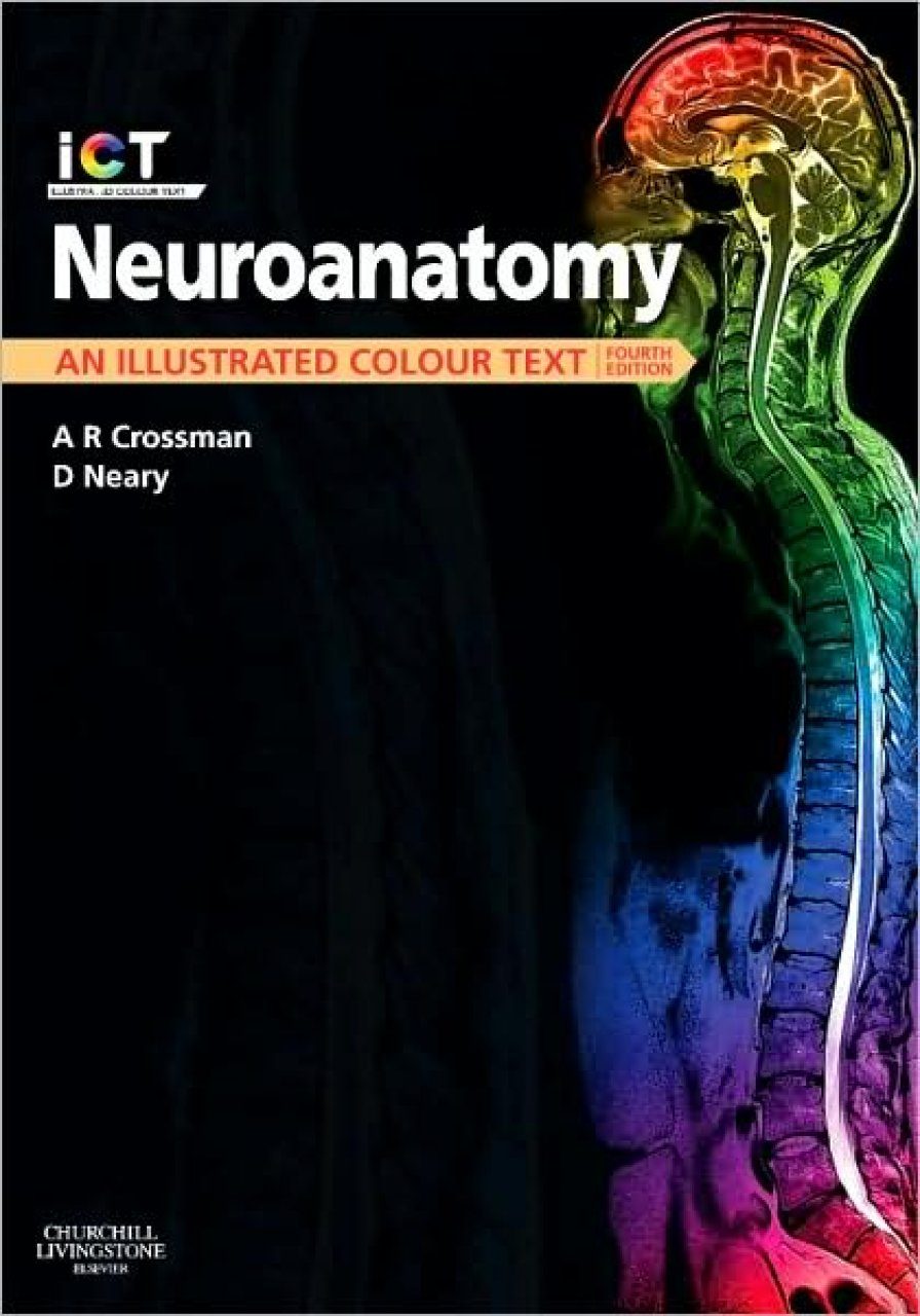 neuroanatomy an illustrated colour text free pdf download