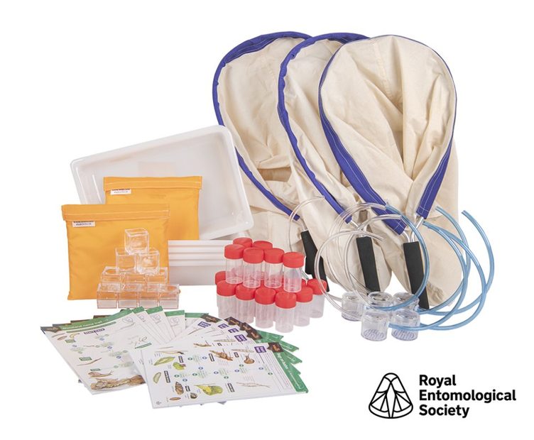 Royal Entomological Society Class Bug Hunting Kit (KS2 & KS3)