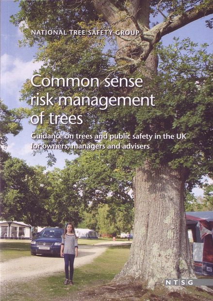 Common Sense Risk Management of Trees