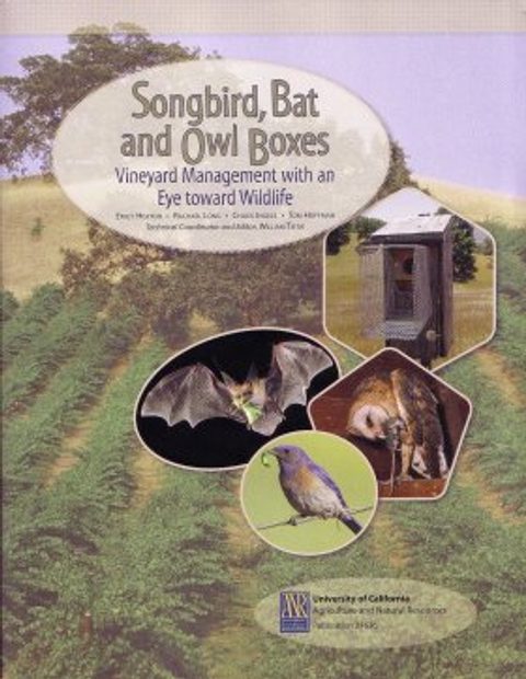 Songbird, Bat and Owl Boxes