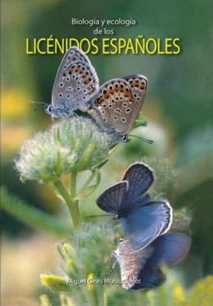 Biología y Ecología de los Licénidos Españoles [Biology and Ecology of the Spanish Blues]