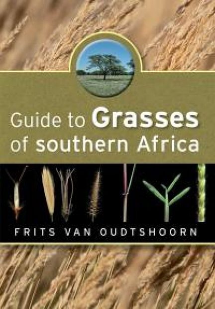 Guide to Grasses of Southern Africa