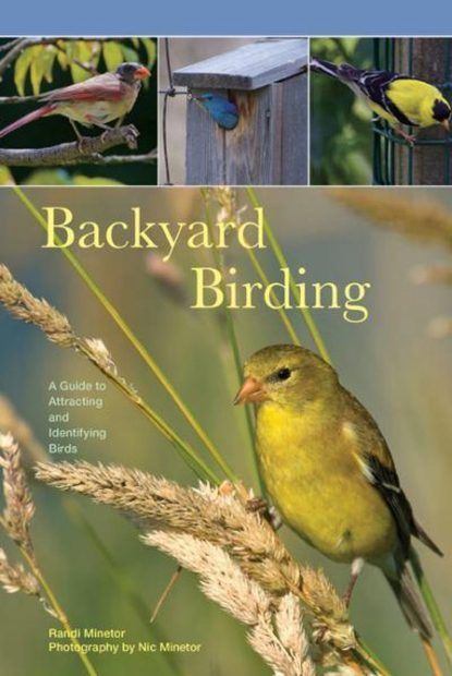 Backyard Birding
