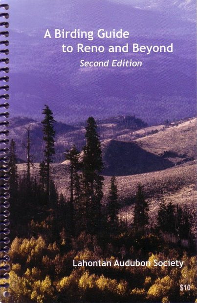 A Birding Guide to Reno and Beyond
