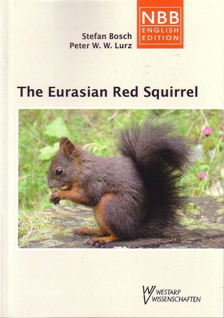 The Eurasian Red Squirrel