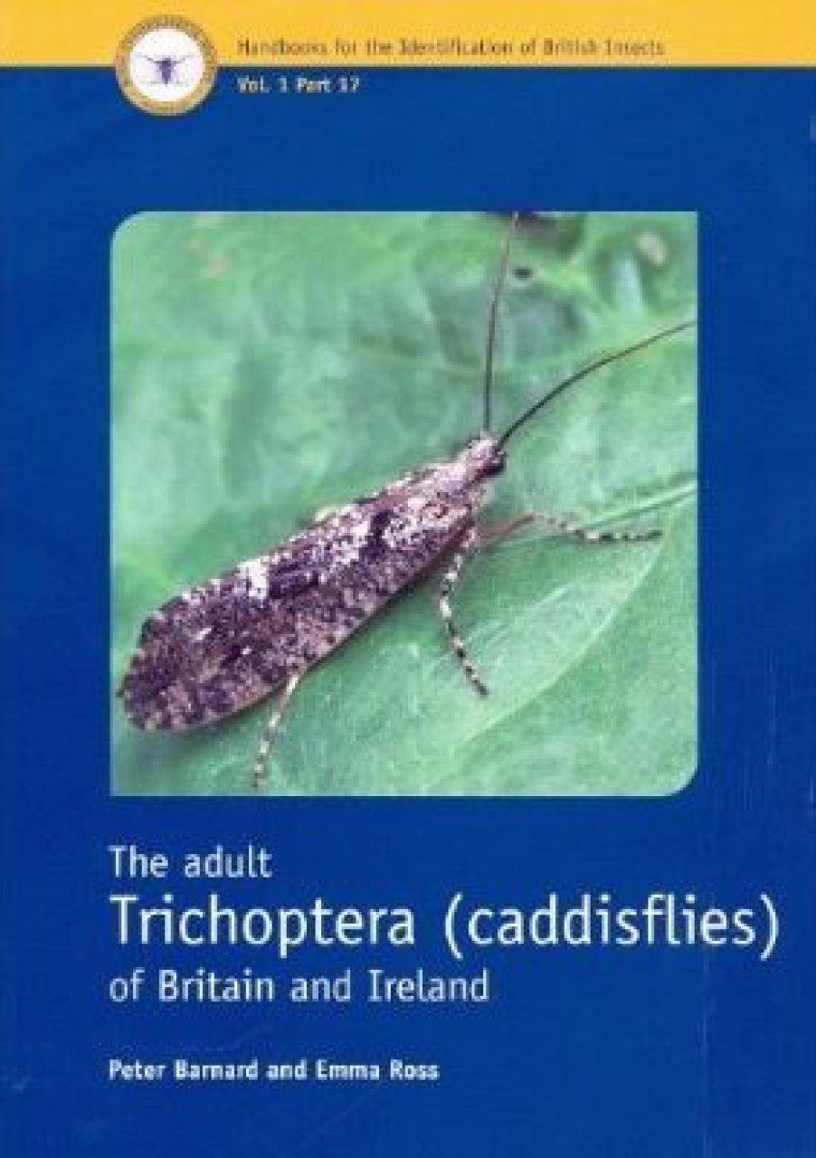 Res Handbook Volume 1 Part 17 The Adult Trichoptera