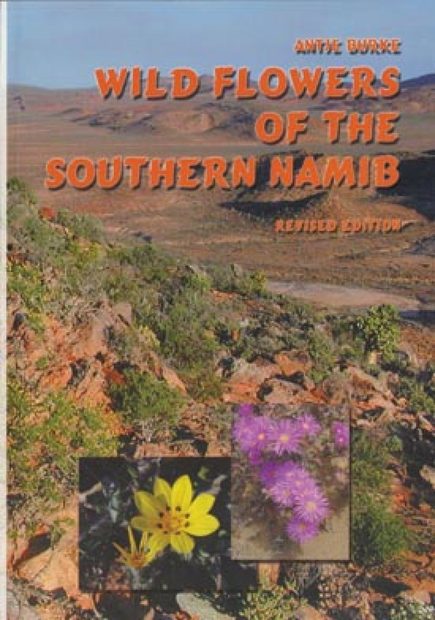 Wild Flowers of the Southern Namib