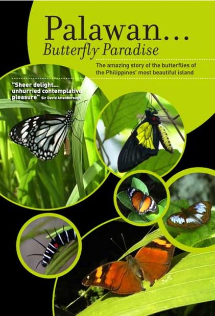 Palawan... Butterfly Paradise (All Regions)