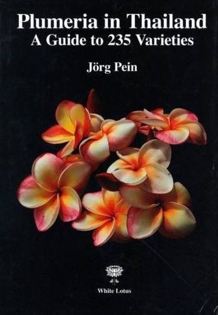 Plumeria in Thailand