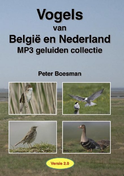 Birds of Belgium and Holland - MP3 Sound Collection