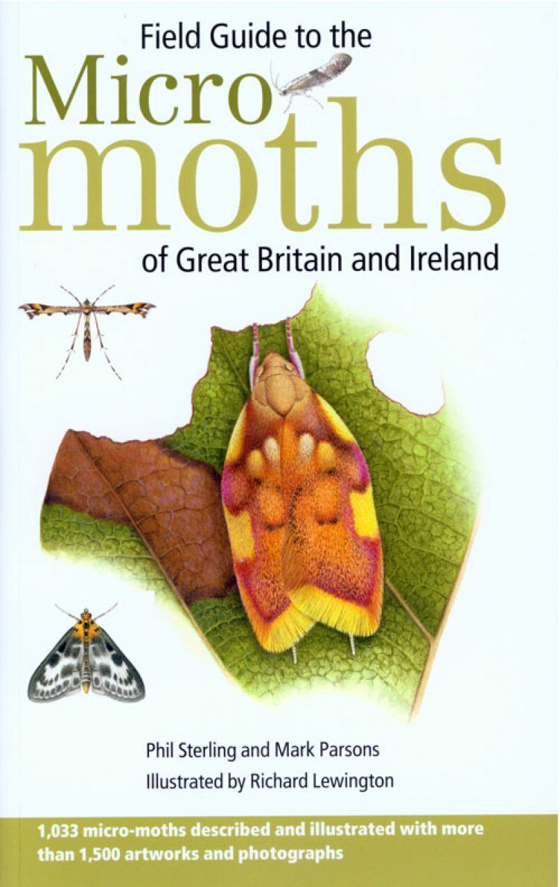 Field Guide To The Micro Moths Of Great Britain And