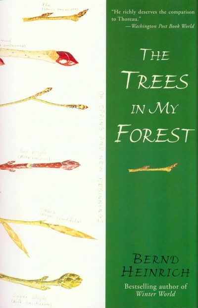 The Trees in My Forest