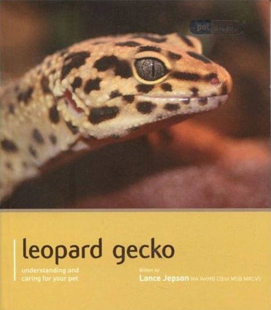 Leopard Gecko
