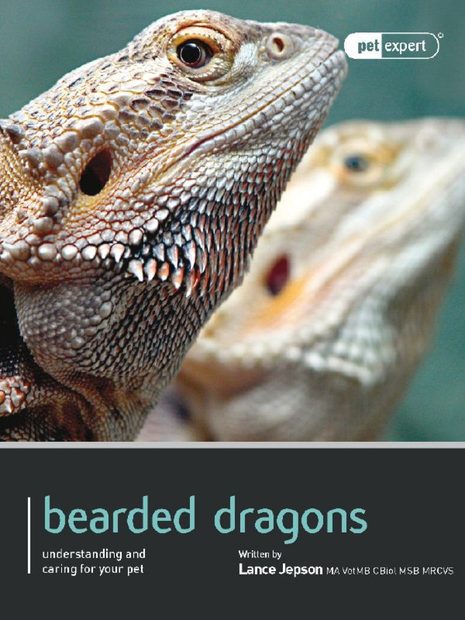 Bearded Dragon