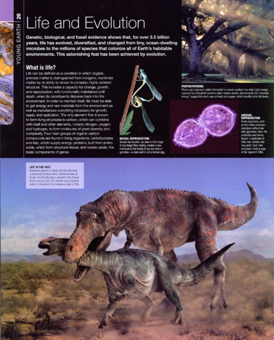 Prehistoric Life The Definitive Visual History Of Life On