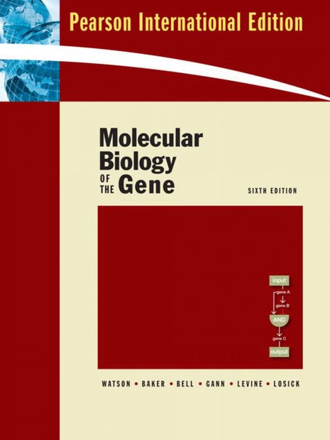 Molecular Biology of the Gene (International Edition) | NHBS Academic ...