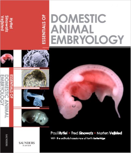 Essentials of Domestic Animal Embryology