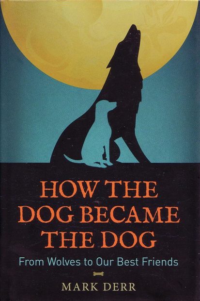 How the Dog Became the Dog