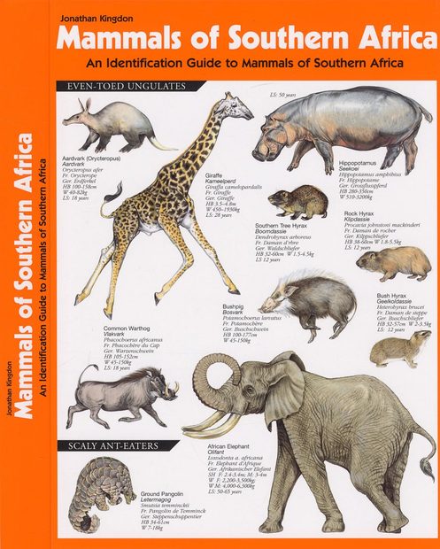 Mammals of Southern Africa