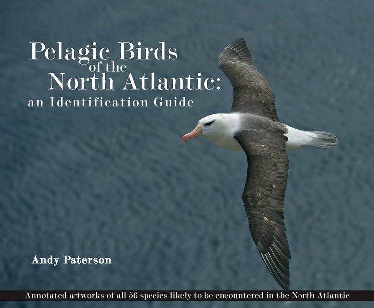 Pelagic Birds of the North Atlantic An Identification Guide NHBS Field Guides & Natural History
