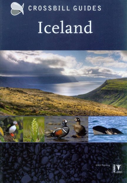 Crossbill Guide: Iceland