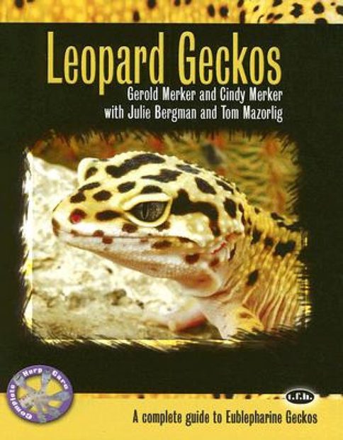 Leopard Geckos