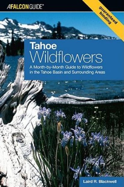 Tahoe Wildflowers
