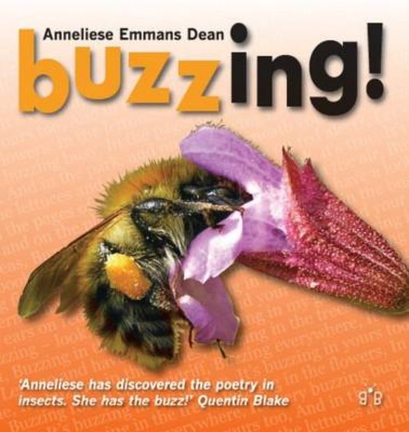 Buzzing!