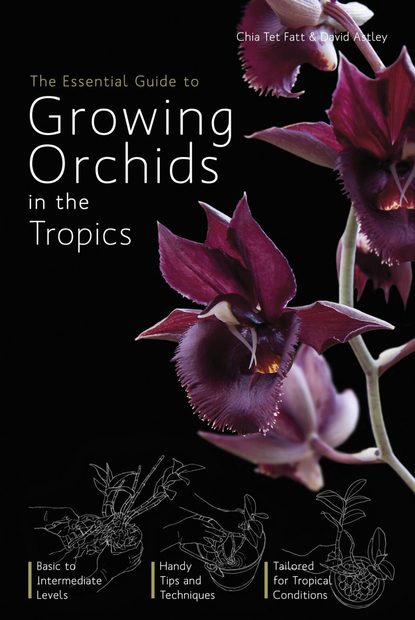 The Essential Guide to Growing Orchids in the Tropics
