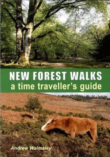New Forest Walks