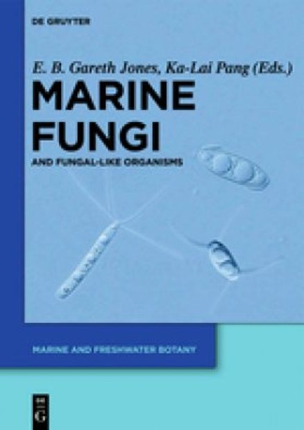 Marine Fungi And Fungal-Like Organisms